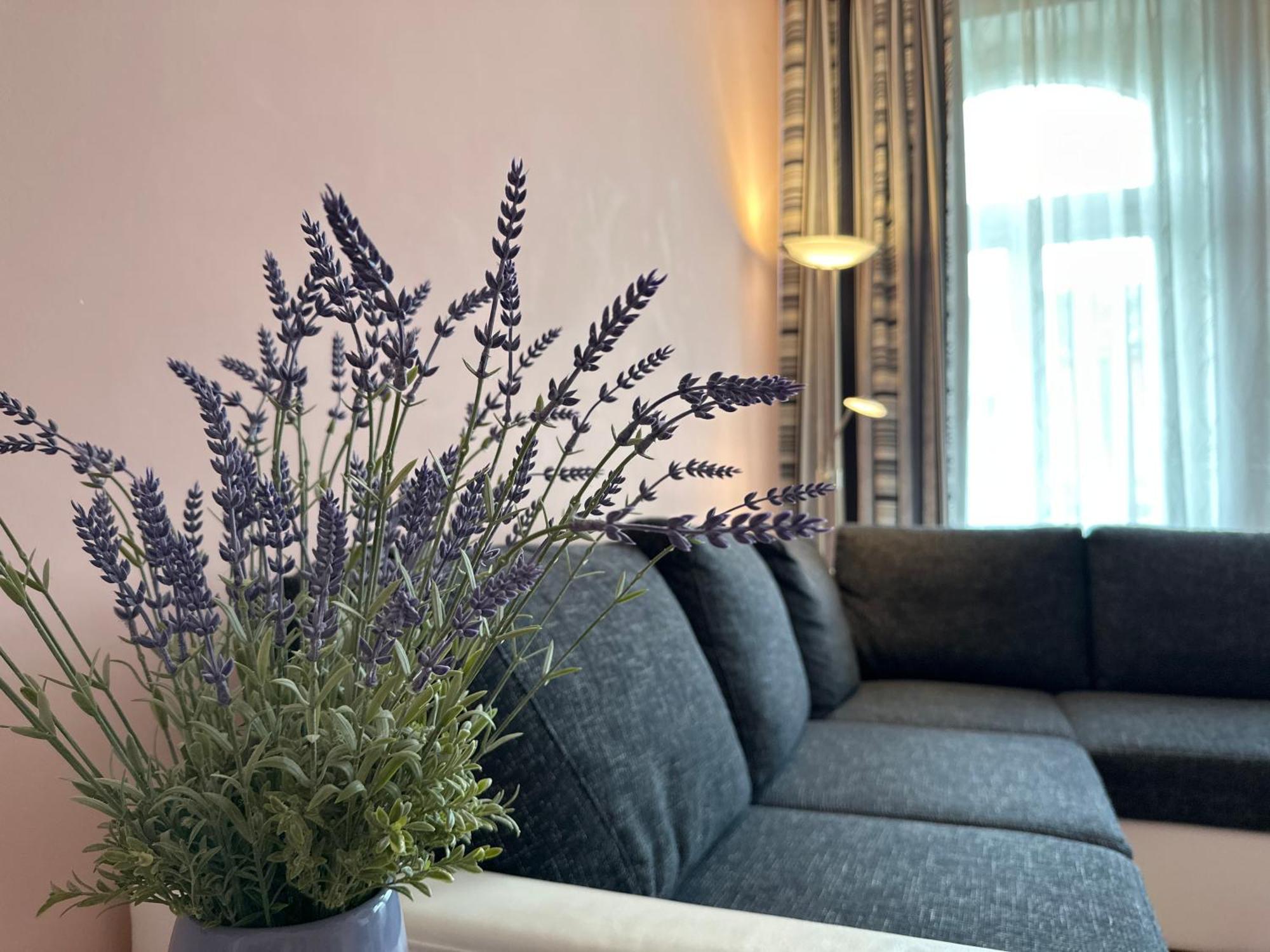 Apartment Zeyerova4 カルロヴィ・ヴァリ エクステリア 写真